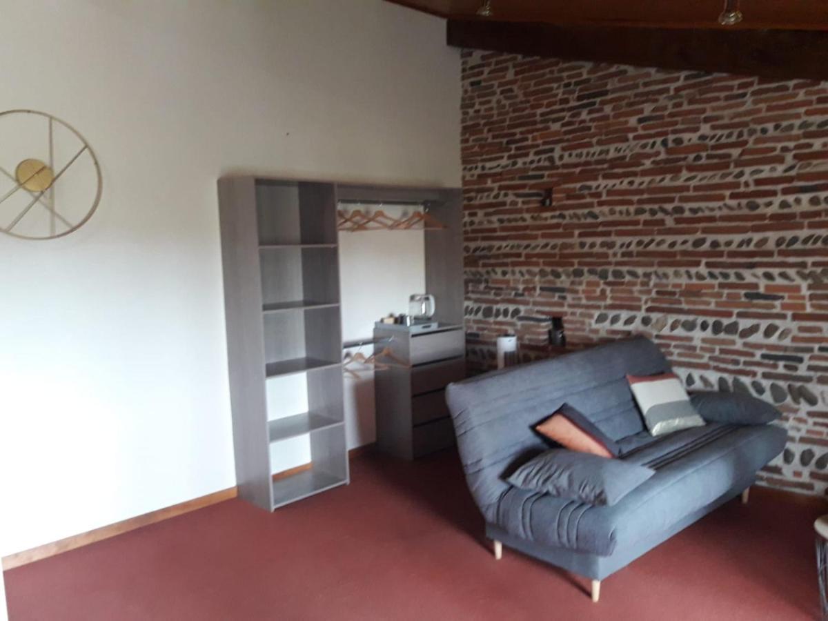 La Ferme Du Puits Carre Bed & Breakfast Lamasquere ภายนอก รูปภาพ