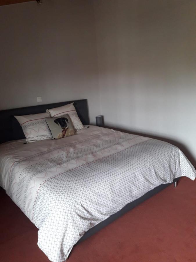 La Ferme Du Puits Carre Bed & Breakfast Lamasquere ภายนอก รูปภาพ